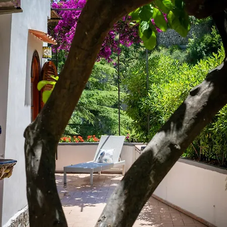 Apartamento Lemontree