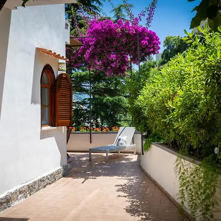 Lemontree 포지타노